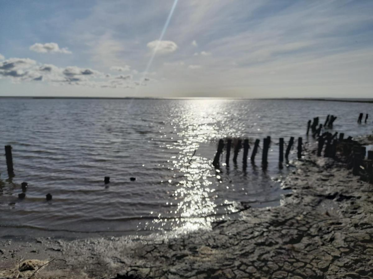 Hof Rickelsbuell - Nordseeurlaub Auf Dem Biobauernhof Rodenäs Kültér fotó